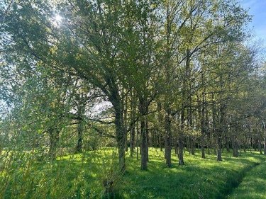 Maison a vendre Baugé-en-Anjou 49150 Maine-et-Loire 133 m2 7 pièces 256025 euros