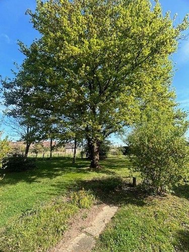 Maison a vendre Baugé-en-Anjou 49150 Maine-et-Loire 133 m2 7 pièces 256025 euros