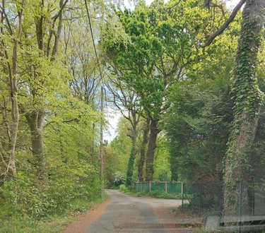 Terrain a batir a vendre Saint-Briac-sur-Mer 35800 Ille-et-Vilaine 1130 m2  724500 euros