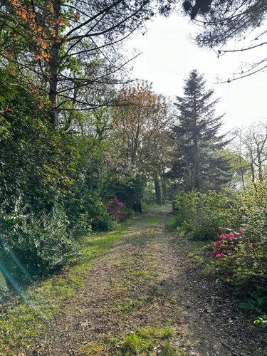 Terrain a batir a vendre Saint-Briac-sur-Mer 35800 Ille-et-Vilaine 1130 m2  724500 euros