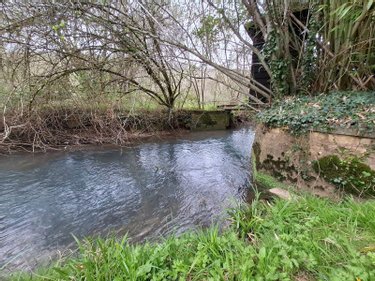 Maison a vendre Saint-Avit-Sénieur 24440 Dordogne 224 m2 10 pièces 316950 euros