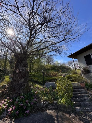 Maison a vendre Conjux 73310 Savoie 167 m2 5 pièces 760000 euros