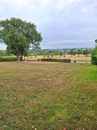 Terrain a batir a vendre Taillis 35500 Ille-et-Vilaine 1100 m2  54800 euros