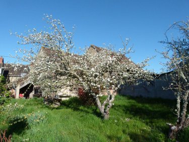 Maison a vendre Le Bourg-d'Hem 23220 Creuse 232 m2 7 pièces 156000 euros