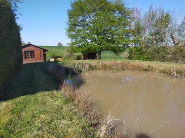 Terrains de loisirs bois etangs a vendre Clion 36700 Indre 1685 m2  15800 euros
