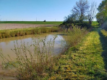 Terrains de loisirs bois etangs a vendre Clion 36700 Indre 1685 m2  15800 euros