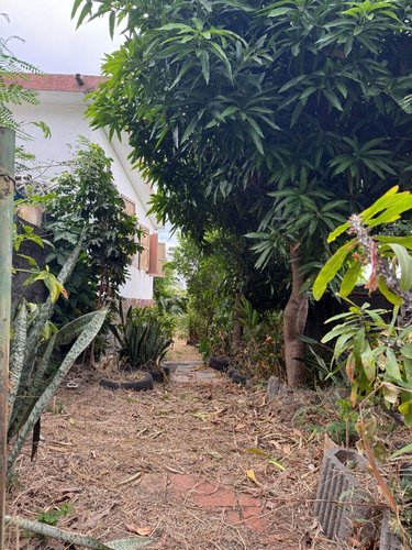 Maison a vendre Saint-Paul 97460 Réunion 88 m2 4 pièces 256800 euros