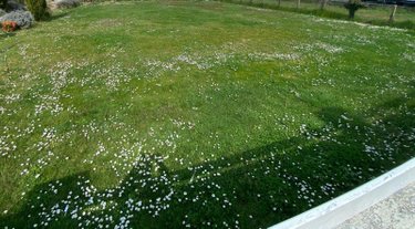 Terrain a batir a vendre Eysines 33320 Gironde 651 m2  209000 euros