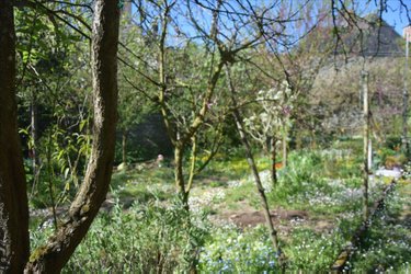 Maison a vendre Mayenne 53100 Mayenne 148 m2 5 pièces 176800 euros