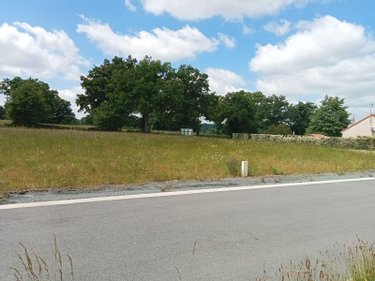 Terrain a batir a vendre Audes 03190 Allier 1000 m2  29000 euros