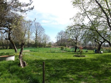 Maison a vendre Bussière-Saint-Georges 23600 Creuse 87 m2 4 pièces 164300 euros