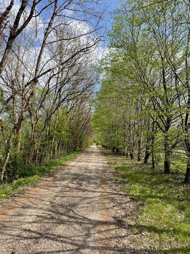 Maison a vendre Libourne 33500 Gironde 241 m2 7 pièces 498000 euros