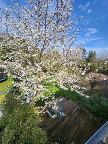 Maison a vendre Angers 49000 Maine-et-Loire 165 m2 7 pièces 644800 euros