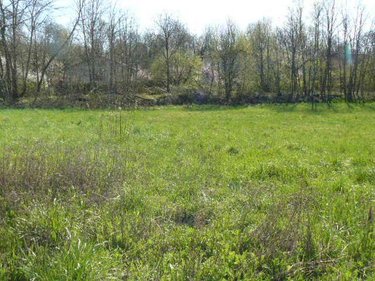 Terrain a batir a vendre Rambervillers 88700 Vosges 1553 m2  49000 euros