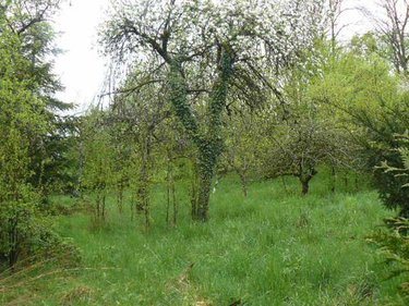 Maison a vendre Isches 88320 Vosges 94 m2 5 pièces 44000 euros