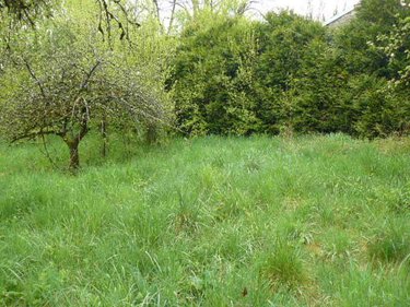 Maison a vendre Isches 88320 Vosges 94 m2 5 pièces 44000 euros