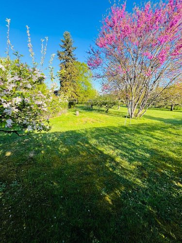 Maison a vendre Sougé 36500 Indre 175 m2 8 pièces 79500 euros