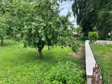 Terrain a batir a vendre Avaray 41500 Loir-et-Cher 1084 m2  48500 euros