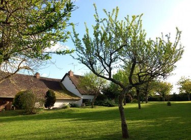 Maison a vendre Aigné 72650 Sarthe 204 m2 10 pièces 372000 euros