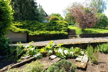 Maison a vendre Aigné 72650 Sarthe 204 m2 10 pièces 372000 euros