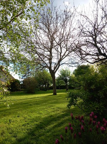 Maison a vendre Aigné 72650 Sarthe 204 m2 10 pièces 349900 euros