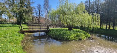 Terrains de loisirs bois etangs a vendre Bonnétable 72110 Sarthe 3778 m2  22640 euros