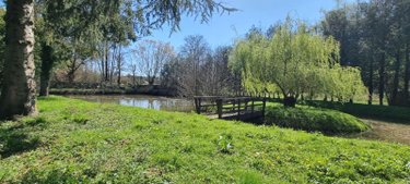 Terrains de loisirs bois etangs a vendre Bonnétable 72110 Sarthe 3778 m2  22640 euros