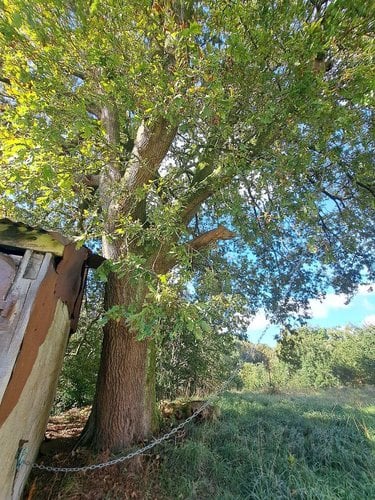 propriete a vendre Querrien 29310 Finistère 110 m2 5 pièces 290920 euros