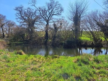 propriete a vendre Querrien 29310 Finistère 110 m2 5 pièces 290920 euros