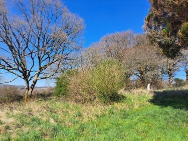 propriete a vendre Querrien 29310 Finistère 110 m2 5 pièces 290920 euros