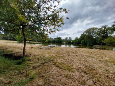 Terrains de loisirs bois etangs a vendre Champeaux 35500 Ille-et-Vilaine 26360 m2  89800 euros