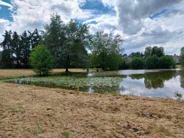 Terrains de loisirs bois etangs a vendre Champeaux 35500 Ille-et-Vilaine 26360 m2  89800 euros