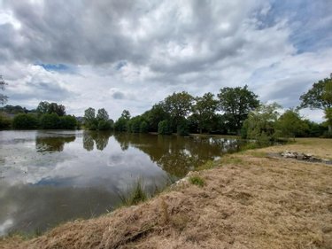 Terrains de loisirs bois etangs a vendre Champeaux 35500 Ille-et-Vilaine 26360 m2  89800 euros