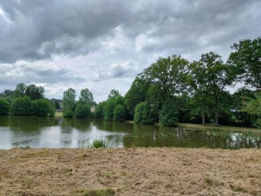 Terrains de loisirs bois etangs a vendre Champeaux 35500 Ille-et-Vilaine 26360 m2  89800 euros