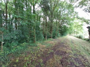 Terrains de loisirs bois etangs a vendre Champeaux 35500 Ille-et-Vilaine 26360 m2  89800 euros