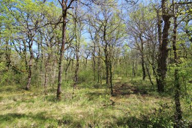 Terrains de loisirs bois etangs a vendre Monteils 12200 Aveyron 22925 m2  13000 euros