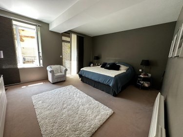 Maison a vendre Cézy 89410 Yonne 313 m2 9 pièces 349000 euros