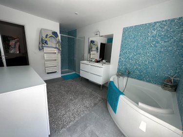 Maison a vendre Cézy 89410 Yonne 313 m2 9 pièces 349000 euros