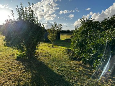 Maison a vendre Marsangy 89500 Yonne 142 m2 6 pièces 157400 euros