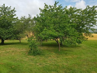 Maison a vendre Villeneuve-sur-Yonne 89500 Yonne 200 m2 6 pièces 241000 euros