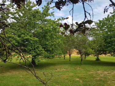 Maison a vendre Villeneuve-sur-Yonne 89500 Yonne 200 m2 6 pièces 220000 euros