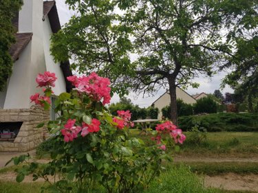 Maison a vendre Villeneuve-sur-Yonne 89500 Yonne 200 m2 6 pièces 241000 euros