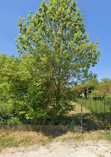 Terrain a batir a vendre Witry-lès-Reims 51420 Marne 395 m2  85500 euros