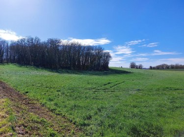 Maison a vendre Javerlhac et la Chapelle Saint Robert 24300 Dordogne 77 m2 5 pièces 84800 euros