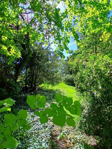 Maison a vendre Saint-Jean-le-Blanc 45650 Loiret 155 m2 7 pièces 440000 euros