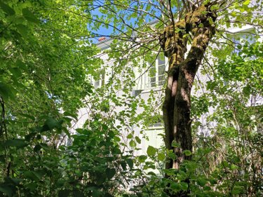 Maison a vendre Saint-Jean-le-Blanc 45650 Loiret 155 m2 7 pièces 440000 euros