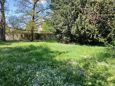 Maison a vendre Saint-Jean-le-Blanc 45650 Loiret 155 m2 7 pièces 440000 euros