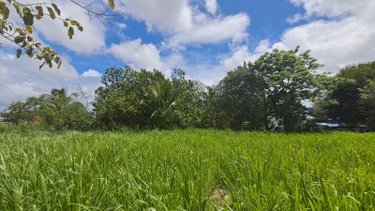 Terrain a batir a vendre Les Abymes 97139 Guadeloupe 2000 m2  399000 euros