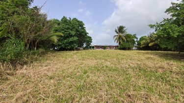 Terrain a batir a vendre Les Abymes 97139 Guadeloupe 2000 m2  399000 euros