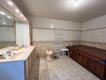 Maison a vendre Jully-sur-Sarce 10260 Aube 470 m2 8 pièces 499000 euros